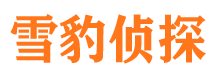 台儿庄找人公司